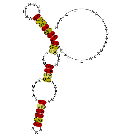 secondary structure