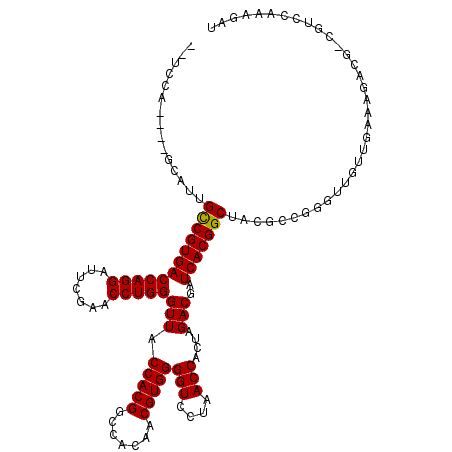 secondary structure