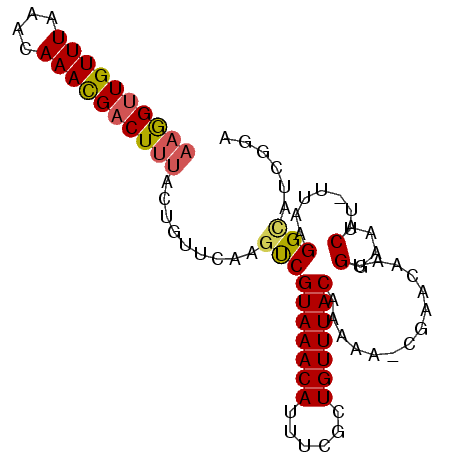 secondary structure