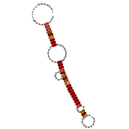 secondary structure