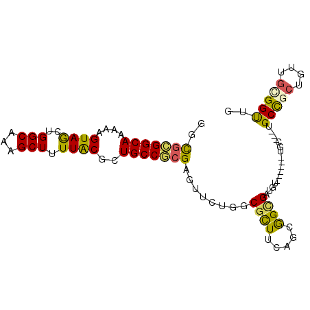 secondary structure
