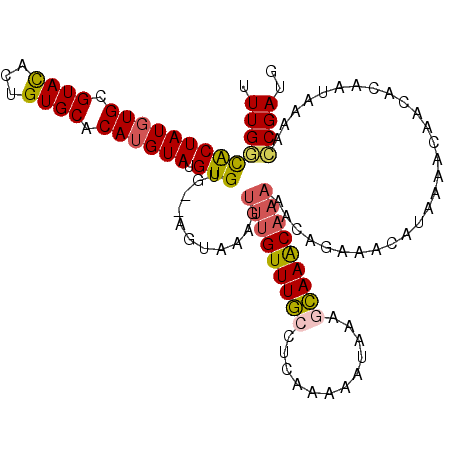 secondary structure