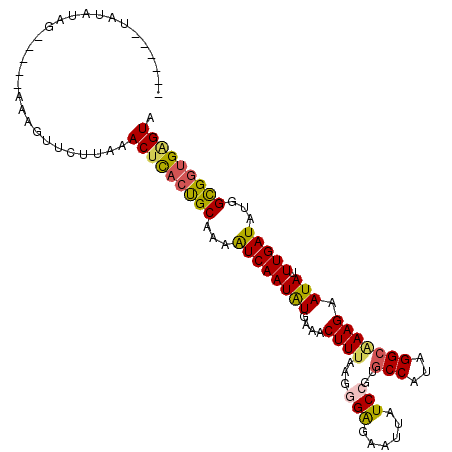secondary structure