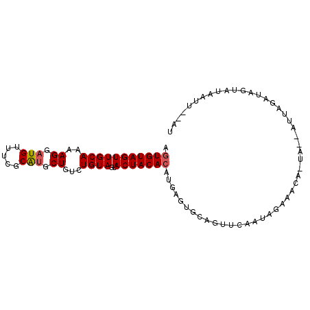 secondary structure