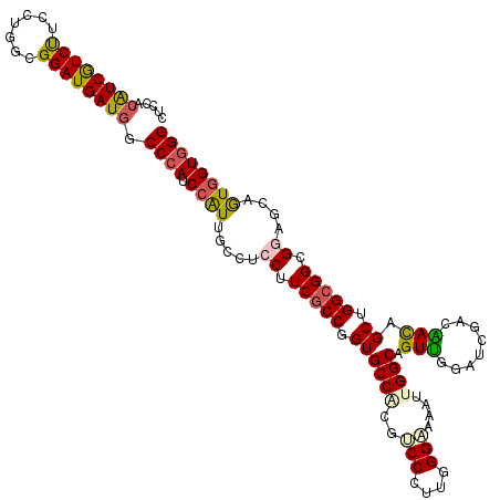 secondary structure