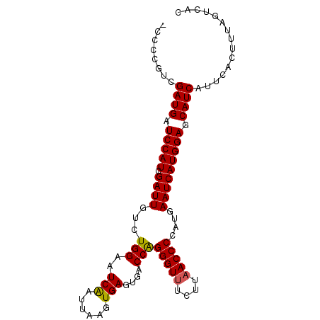 secondary structure