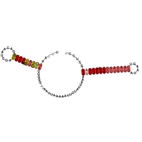 secondary structure