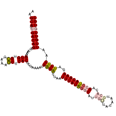 secondary structure