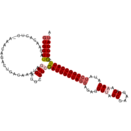 secondary structure