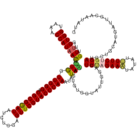 secondary structure