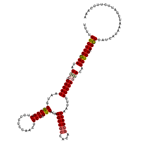 secondary structure