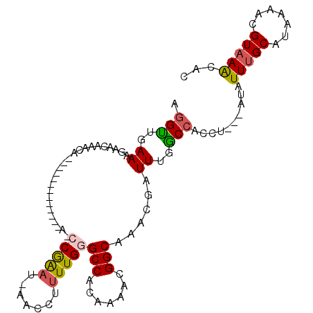 secondary structure