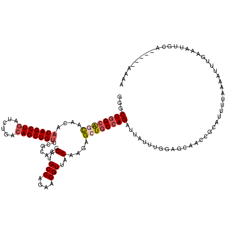 secondary structure