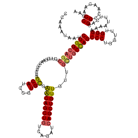 secondary structure