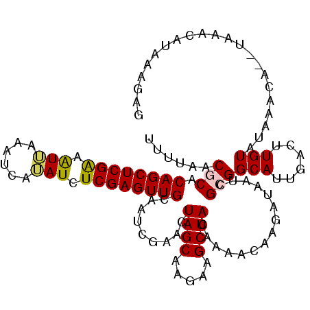 secondary structure