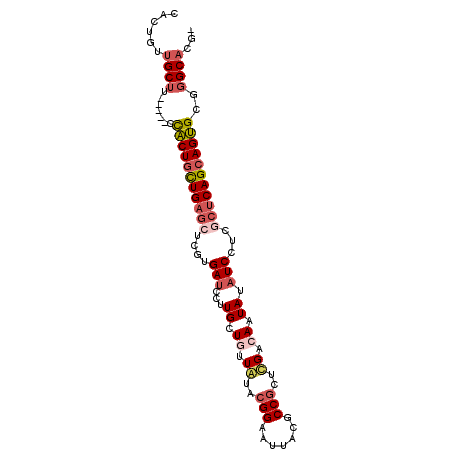 secondary structure