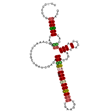 secondary structure