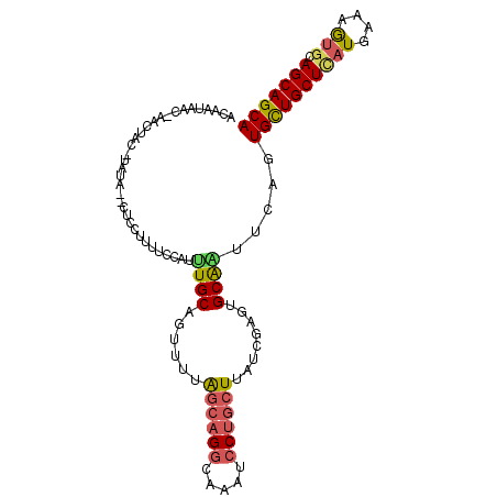 secondary structure