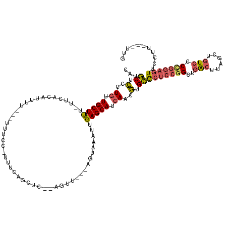 secondary structure