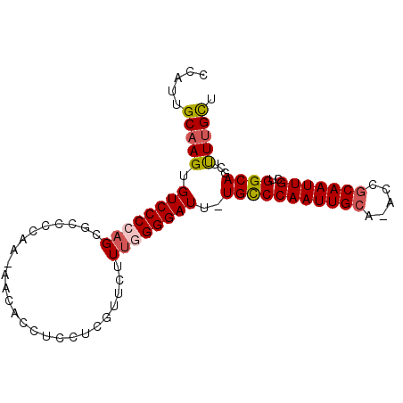 secondary structure