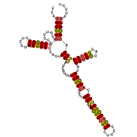 secondary structure
