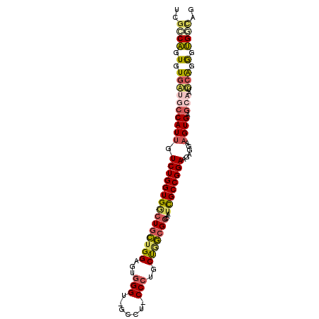 secondary structure