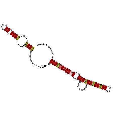 secondary structure