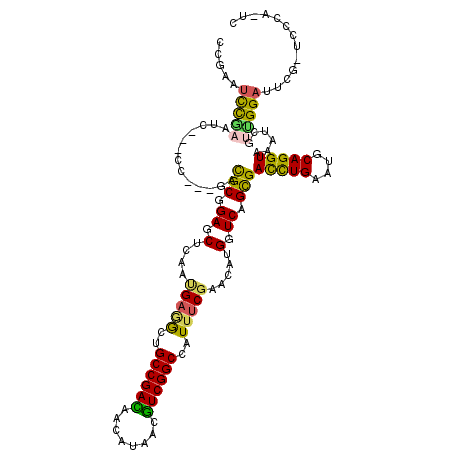 secondary structure