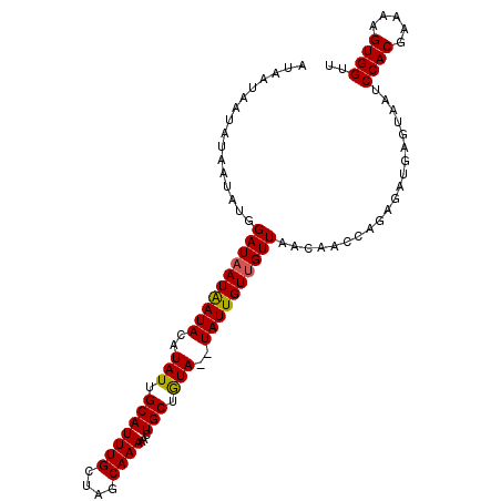 secondary structure