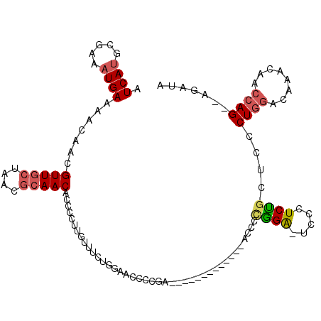 secondary structure