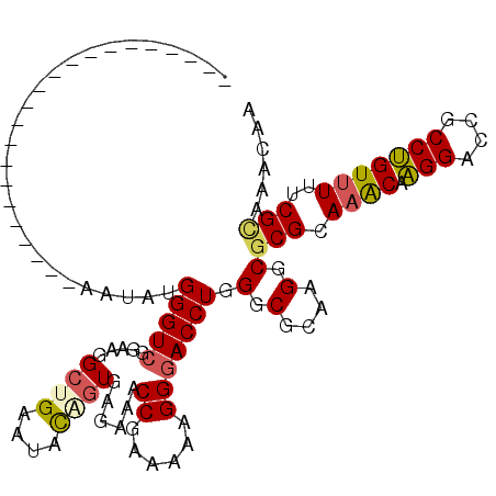 secondary structure