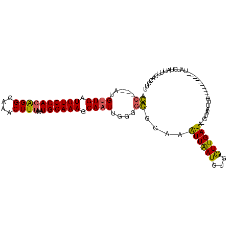 secondary structure