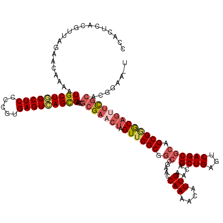 secondary structure