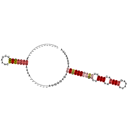 secondary structure