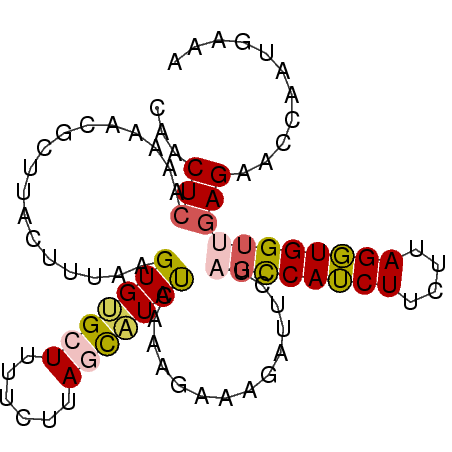 secondary structure