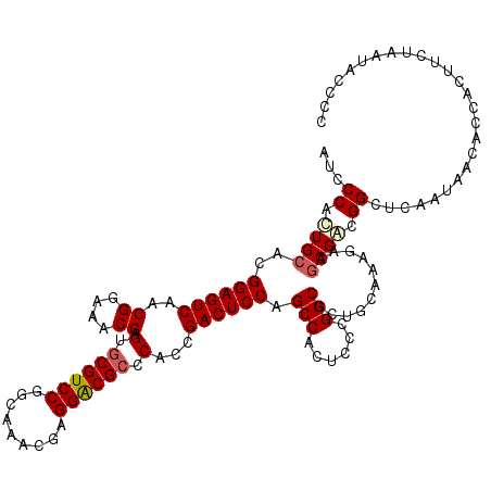 secondary structure