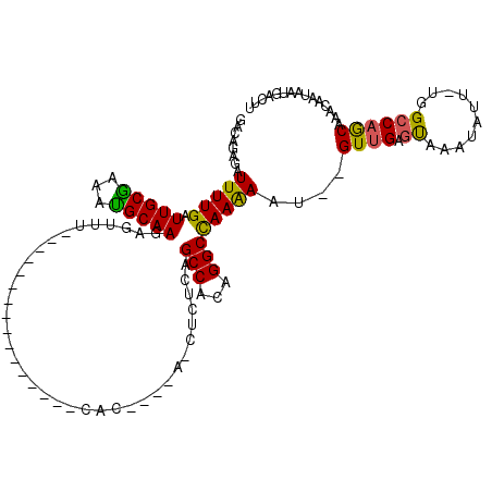 secondary structure