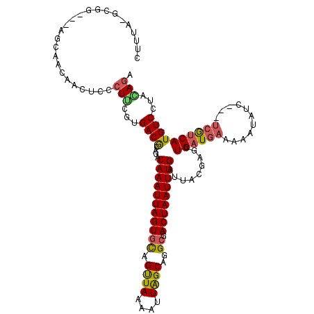 secondary structure