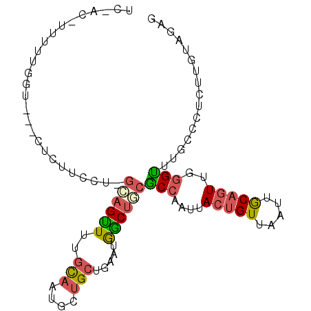 secondary structure
