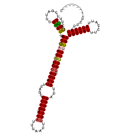 secondary structure