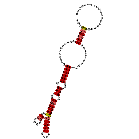 secondary structure