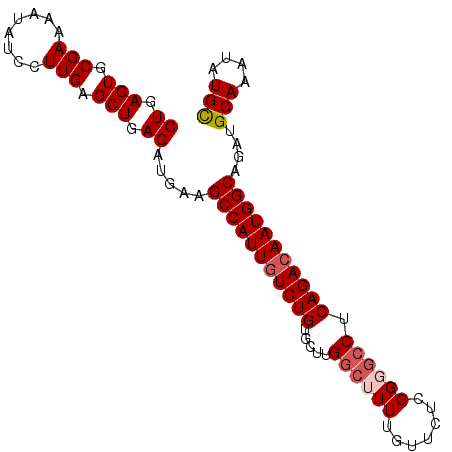 secondary structure