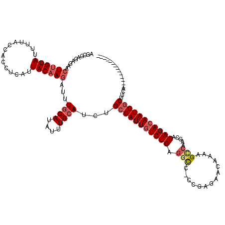 secondary structure