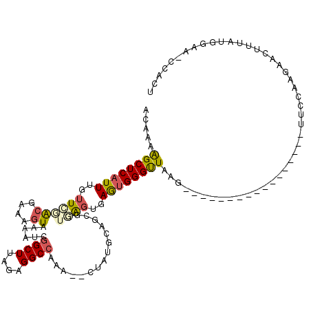 secondary structure
