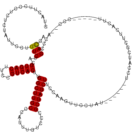 secondary structure