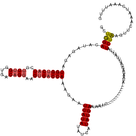 secondary structure