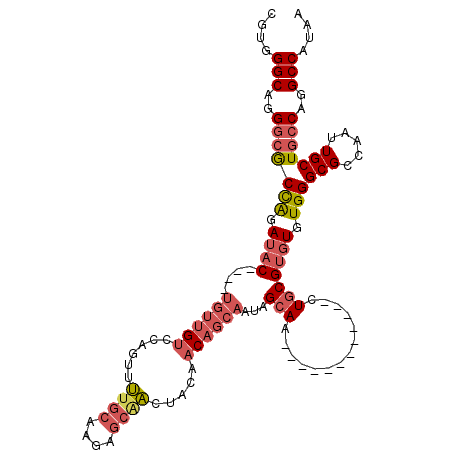 secondary structure
