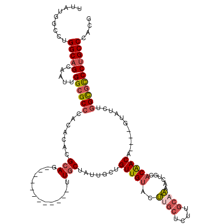 secondary structure