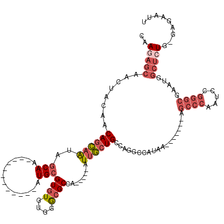 secondary structure