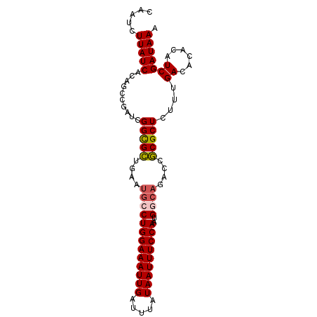 secondary structure